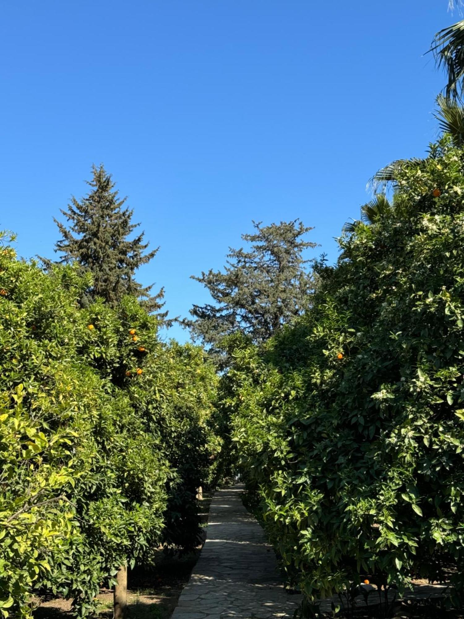 Hotel Yavuz Bungalow Çıralı 외부 사진