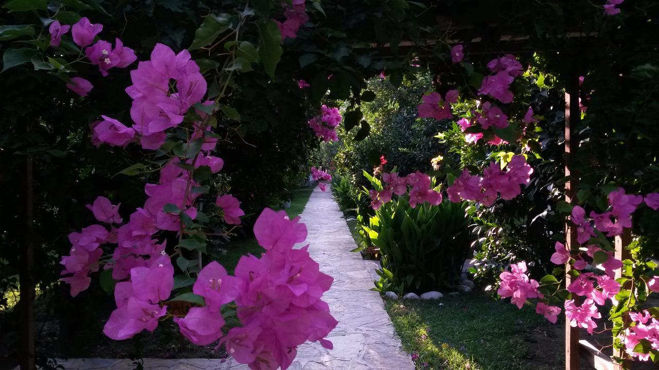 Hotel Yavuz Bungalow Çıralı 외부 사진